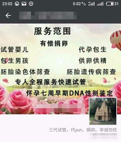 供卵试管代怀微信_微信代怀：供卵试管新选择