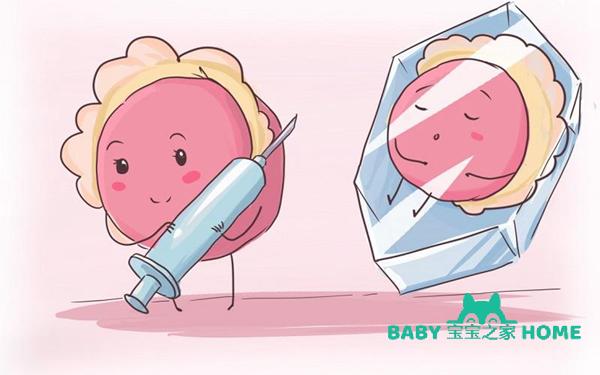 供卵试管婴儿能成功吗_供卵试管婴儿成功率如何？