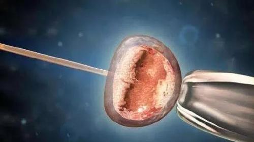 供卵试管代怀过程(供卵试管代怀：新生命的奇迹之旅)