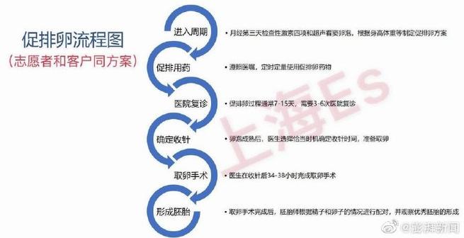 供卵多少钱_供卵多少钱？了解供卵费用和流程