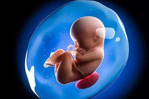 供卵试管婴儿选性别包成功【供卵试管婴儿选性别包成功：实现你梦寐以求的宝宝性别】