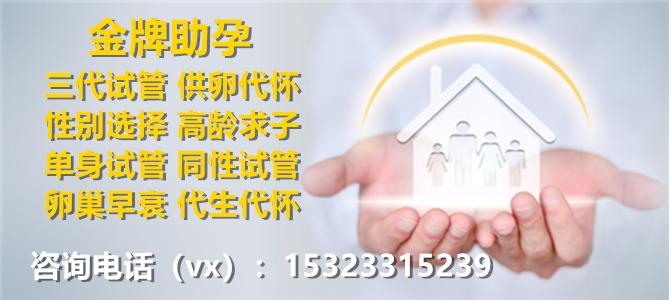 供卵试管代怀是什么-供卵试管代怀：解析未来生育选择