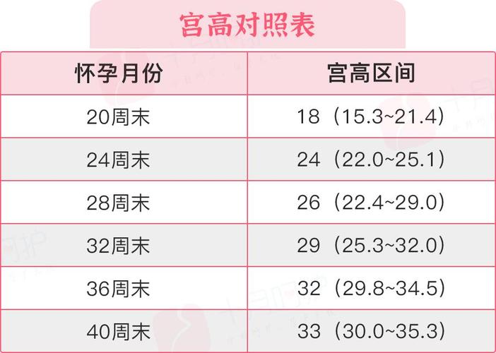 供卵试管代怀需要多少费用-供卵试管代怀需要多少费用？